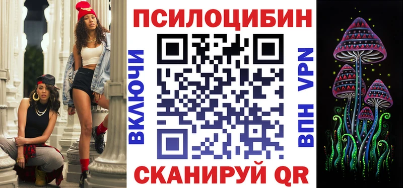 Псилоцибиновые грибы мухоморы  omg   Темников  магазин продажи наркотиков 